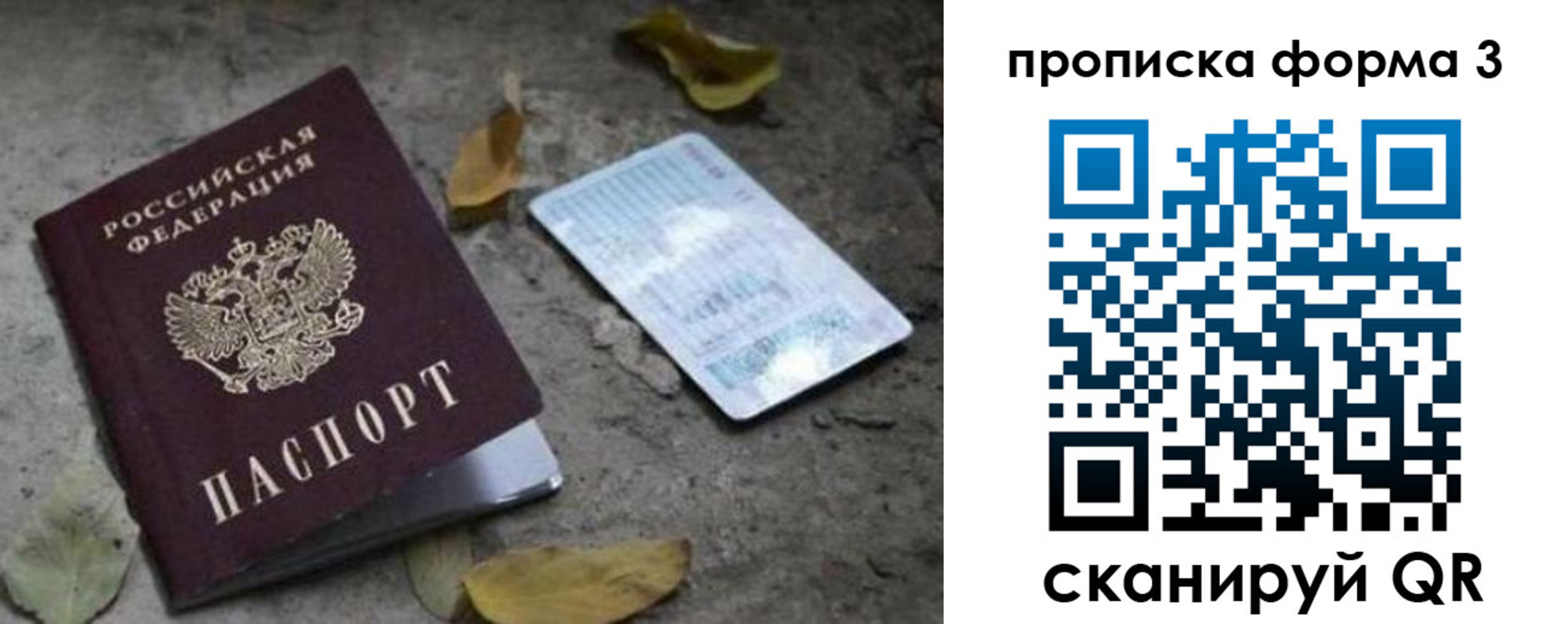 прописка для школы в Нижнем Новгороде